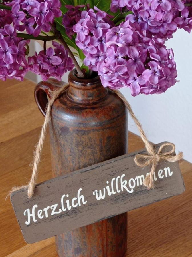 Ferienwohnung Sauerland Burgfenster レンネシュタット エクステリア 写真