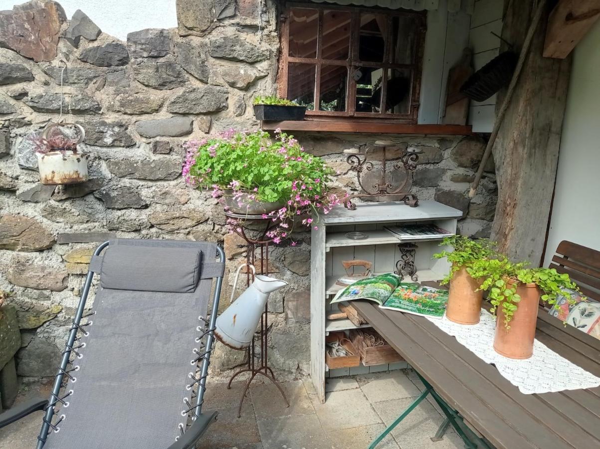 Ferienwohnung Sauerland Burgfenster レンネシュタット エクステリア 写真