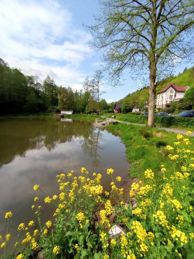 Ferienwohnung Sauerland Burgfenster レンネシュタット エクステリア 写真
