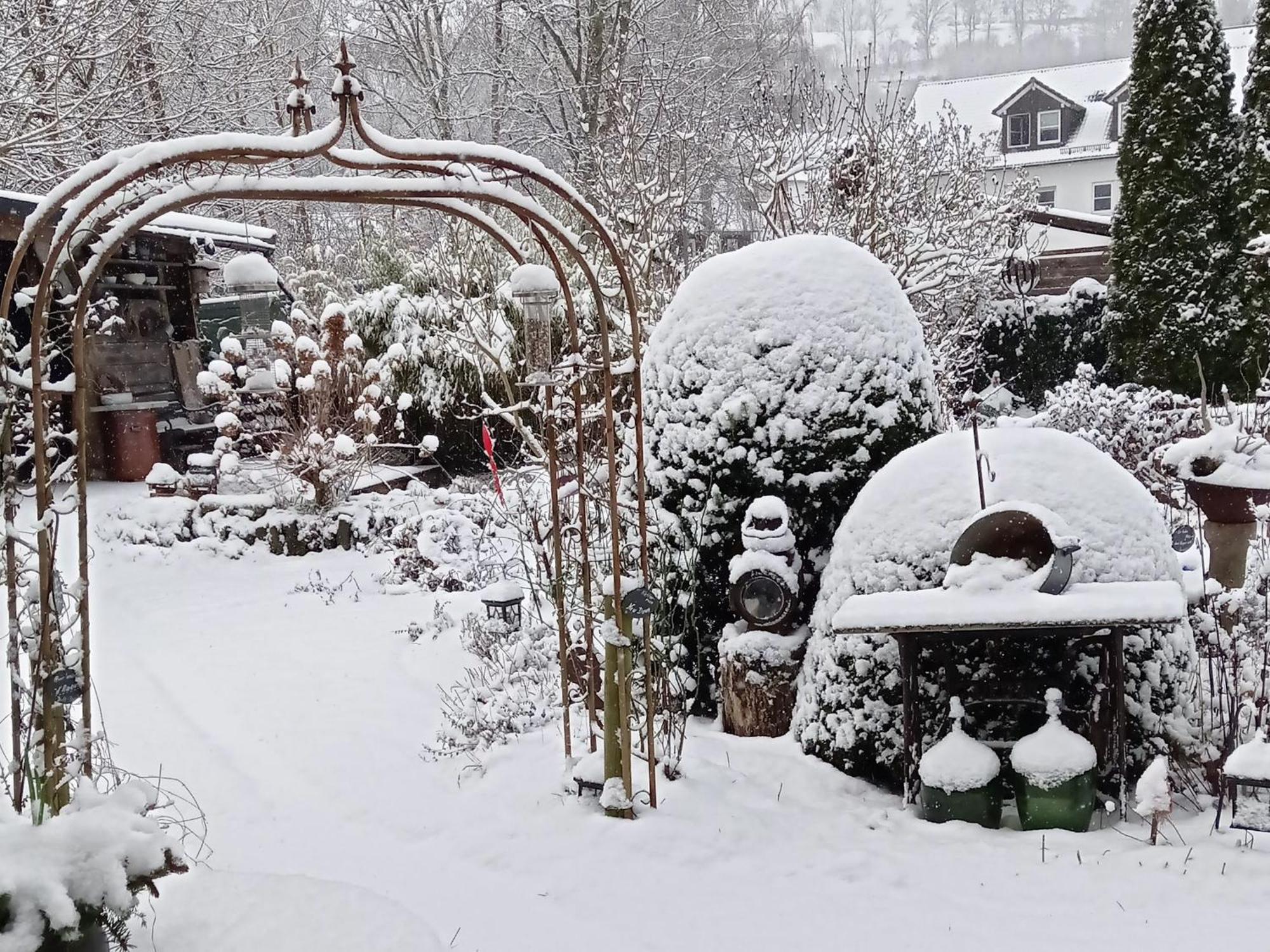 Ferienwohnung Sauerland Burgfenster レンネシュタット エクステリア 写真