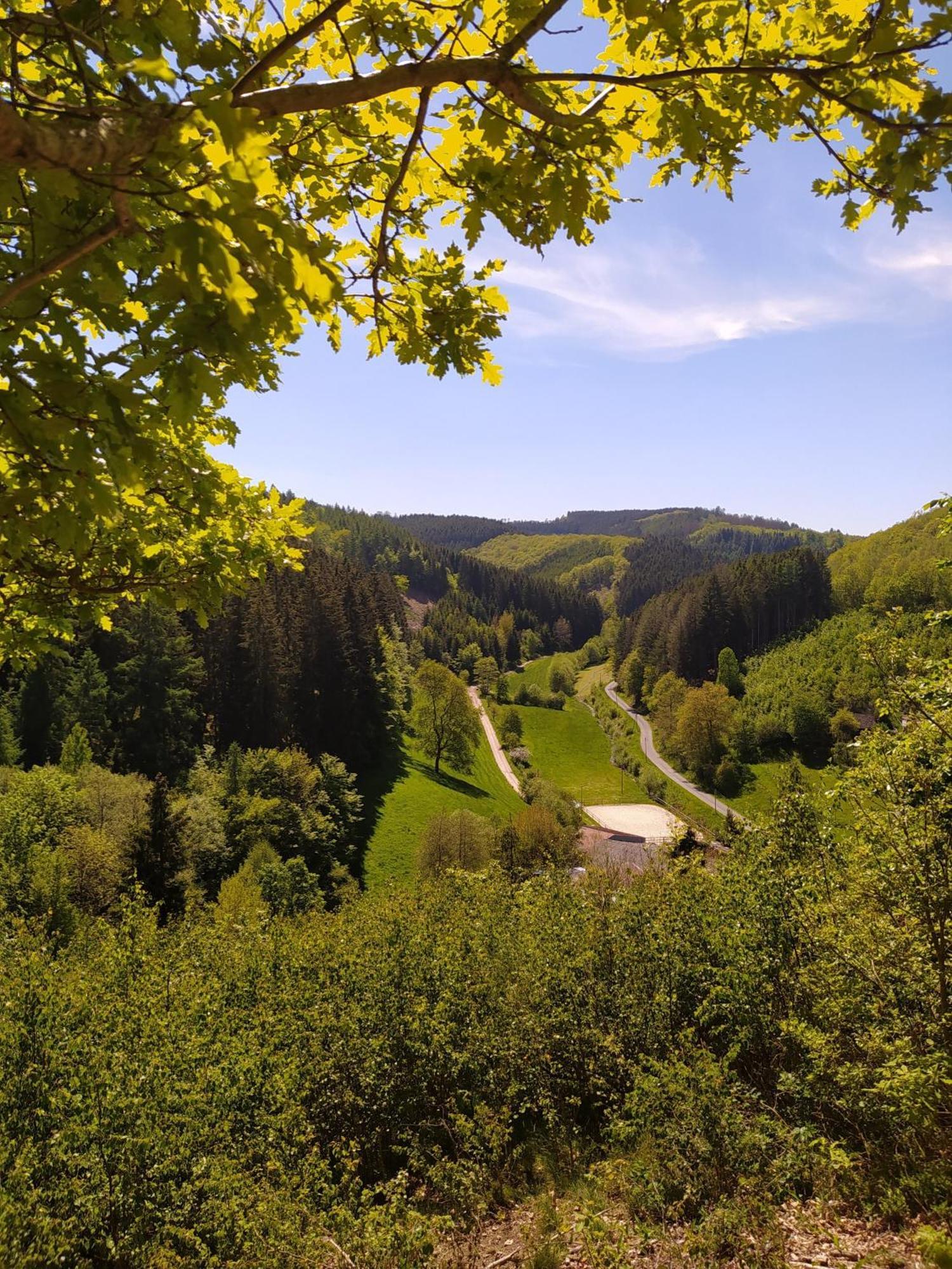 Ferienwohnung Sauerland Burgfenster レンネシュタット エクステリア 写真